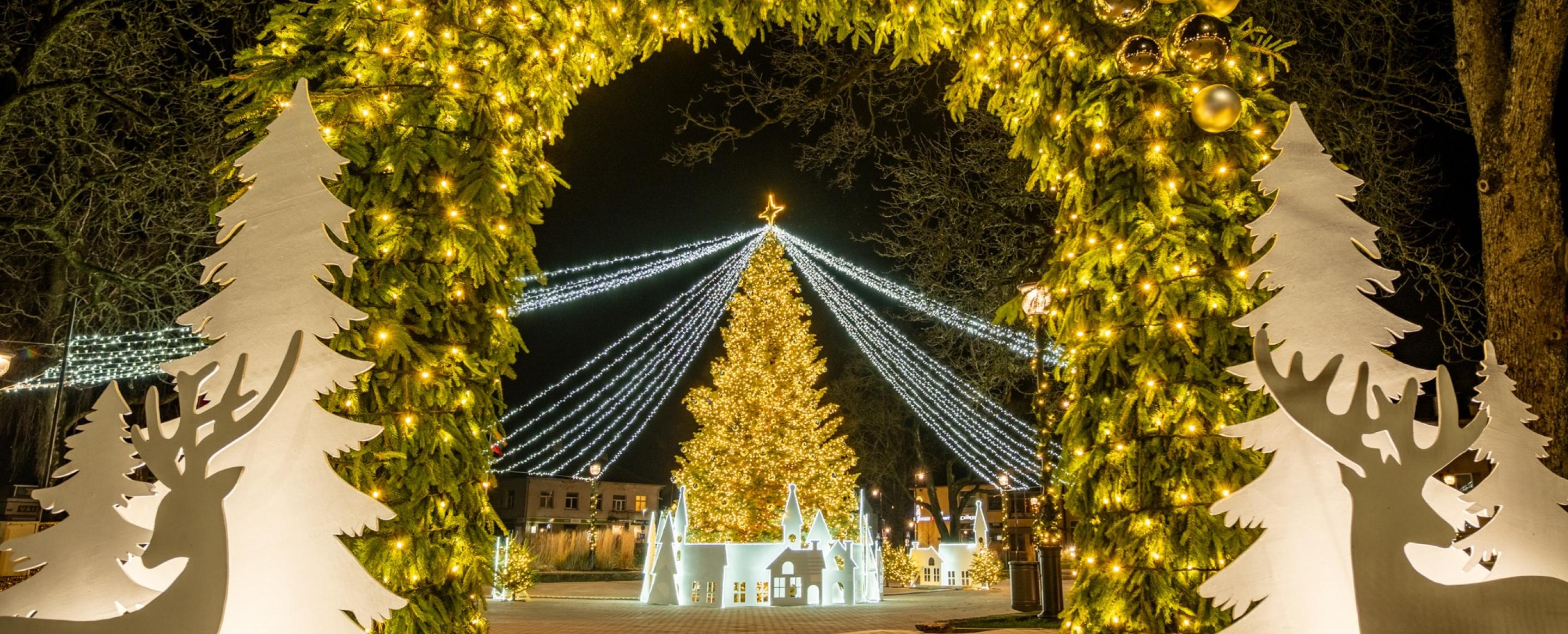 Kretingos egle 2025  1