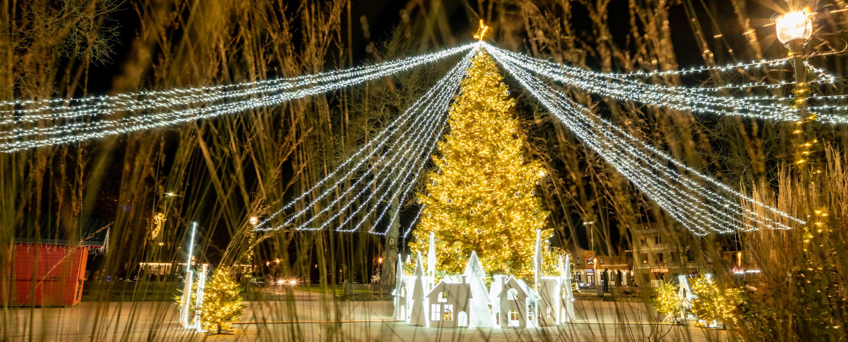 Kretingos egle 2025 2